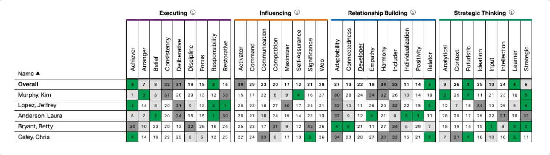 A CliftonStrengths team grid illustrates each individual member’s 34 strengths organized by domain. Each member is listed for easy team strengths comparison.