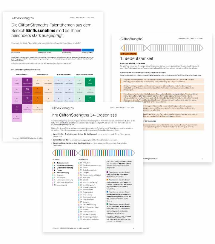 CliftonStrengths 34 Bericht