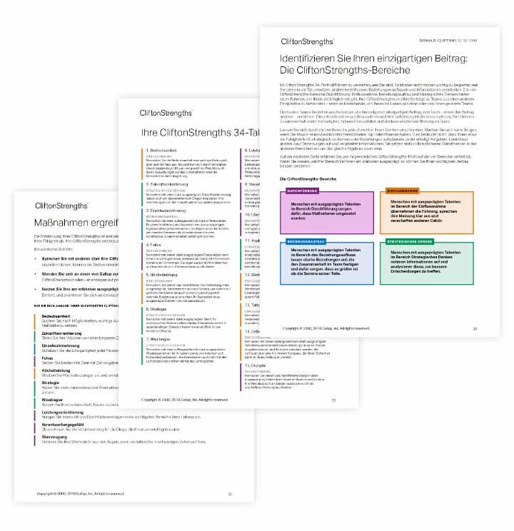 CliftonStrengths 34 Bericht zur Teambildung
